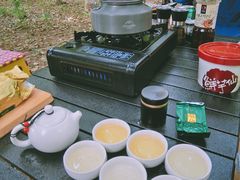 -蒲河岛湿地公园