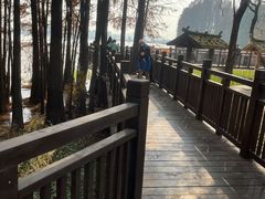 -东湖落雁景区