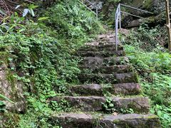 -湖州龙王山景区