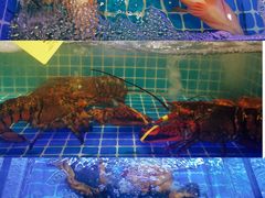 -阿湾楼·温州海鲜·江浙菜(京江路店)