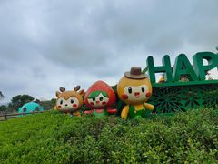 -苏州太湖西山岛开心农场