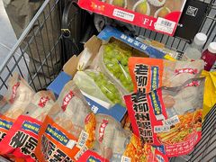 -洛阳郁金香牡丹园