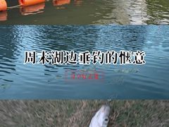 -新江湾城公园