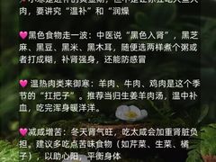 -世医堂推拿艾灸(淮海路店)