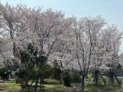 -堤角公园