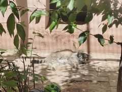 -青藏高原野生动物园