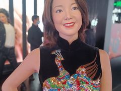 -武汉杜莎夫人蜡像馆