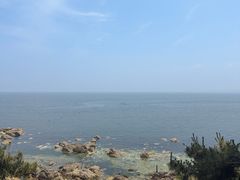 -养马岛旅游度假区