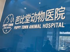 -芭比堂动物医院·CT·微创中心(新顺分院)