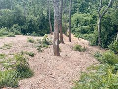 -青龙山国家森林公园