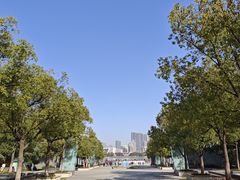 -月湖风景区