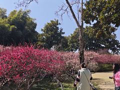 -凤城河风景区
