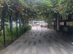 -田园东方蜜桃村的田野营地