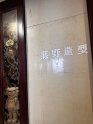 -藤野造型烫发染发