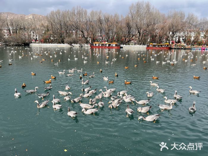 宗角禄康公园图片