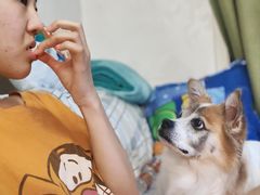 -达爱动物医院·犬猫分区·CT·复杂眼科(远洋山水分院)