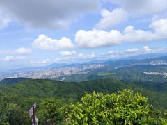 -阳台山森林公园
