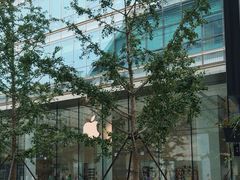 -Apple零售店(华贸购物中心店)