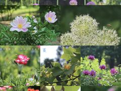 -国家植物园南园