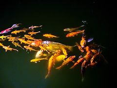 -扬州瘦西湖汇金酒店