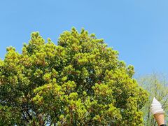 -东钱湖旅游度假区