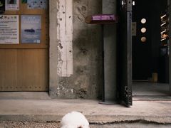 -即興ADLIB(退化公园店)