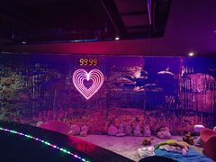 -VS SPORTS PARK运动玩乐园·团建·生日会(合生汇店)
