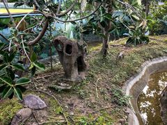 -野象谷景区