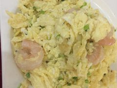 -天津医科大学第二医院