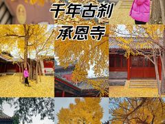 -承恩寺