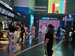 -保利国际影城(保利文化广场店)