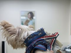 -美联众合动物医院·24h转诊中心