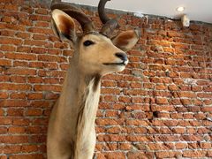 大堂-Vanilla Specialty Coffee(八大关店)