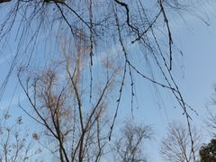 -滨湖塘西河公园