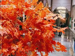 -君德澜酒家·创意粤菜(金山谷店)