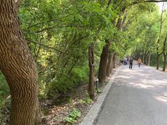 -同里国家湿地公园