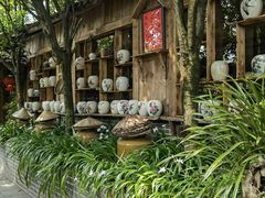 -青城甲(青城山店)