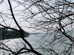 -瑶湖郊野森林公园