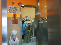 -我爱吾宠宠物美容院(朝阳路店)