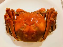 大闸蟹-上海老站(徐家汇店)