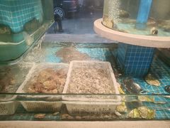 -大哈福烧烤·海鲜·家常菜(延安三路店)