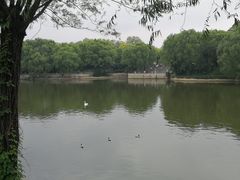 -石家庄市动物园