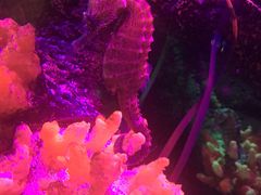 -沈阳海洋探索中心