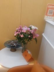-苑苑vbeauty科技美容SPA