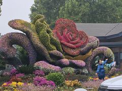 -紫竹院公园-东门停车场