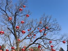 -香山公园
