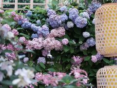 -常州古运河南大街文化旅游区-人民公园