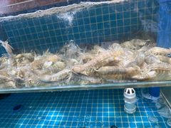 -良师门滨海人家·海鲜·家常菜(滨海城店)