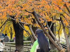 -苏州河梦清园环保主题公园