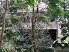 -凤栖山